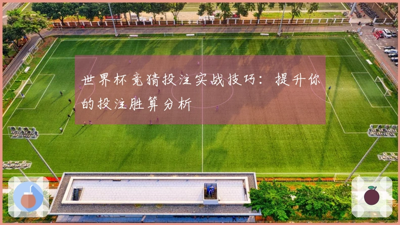 世界杯竞猜投注实战技巧：提升你的投注胜算分析