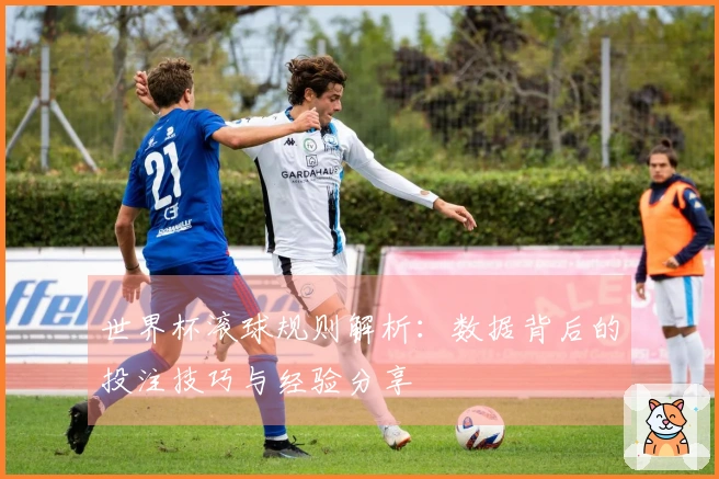 世界杯滚球规则解析：数据背后的投注技巧与经验分享