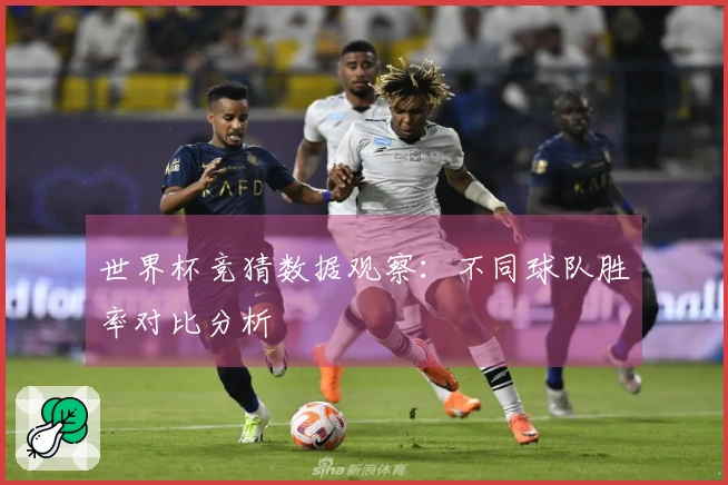 世界杯竞猜数据观察：不同球队胜率对比分析
